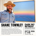 Shane Townley — "Shadow Earth Sanctuary"**  48″ × 48″ · Acrylic on Canvas, Framed · Value $10,000 · Starting bid $3,000