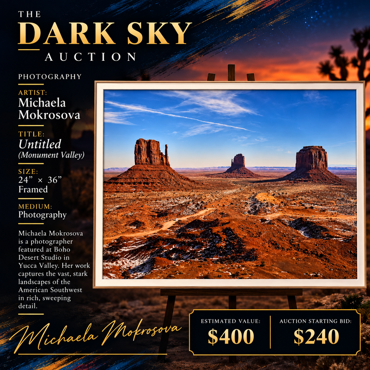 Michaela Mokrosova — "Untitled (Monument Valley)"  24″ × 36″, Framed · Photography · Value $400 · Starting bid $240