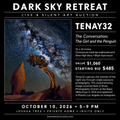 Dark Sky Event Tenay32 "Joshua Tree and Stars" photography on metal Start $485 Value 1060