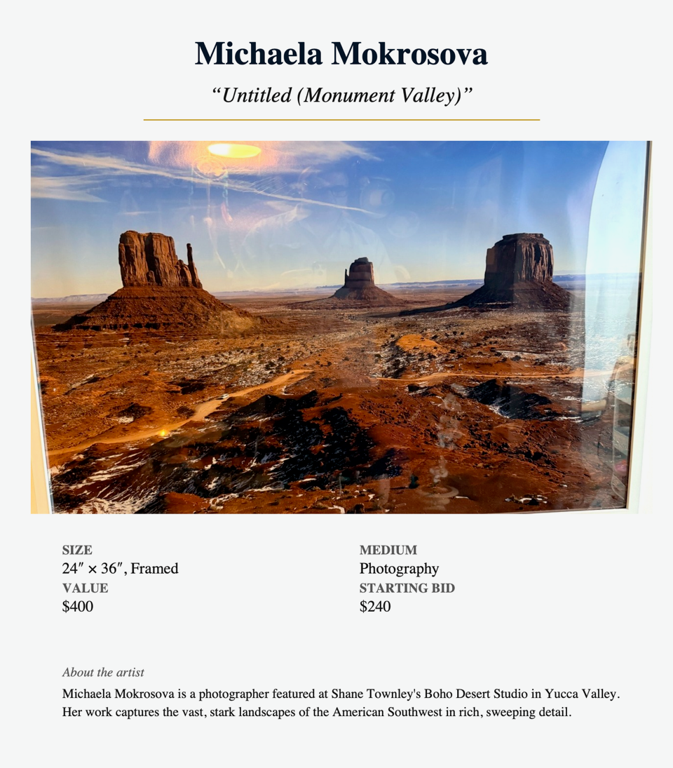 Michaela Mokrosova — "Untitled (Monument Valley)"  24″ × 36″, Framed · Photography · Value $400 · Starting bid $240